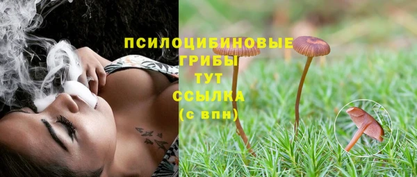 дживик Балахна
