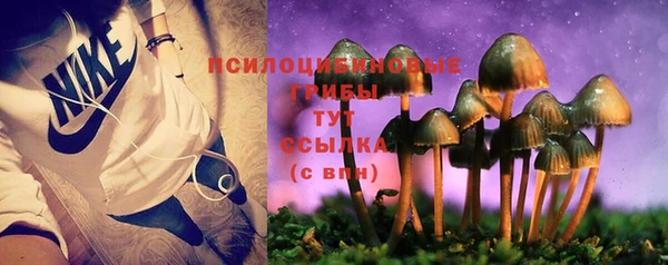 СК Балабаново