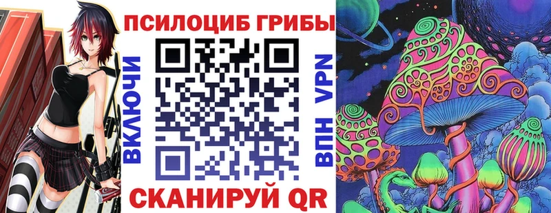 Купить закладки  Гусь-Хрустальный  Галлюциногенные грибы Magic Shrooms 